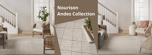 Nourison Andes Collection Rugs - Atlanta Designer Rugs