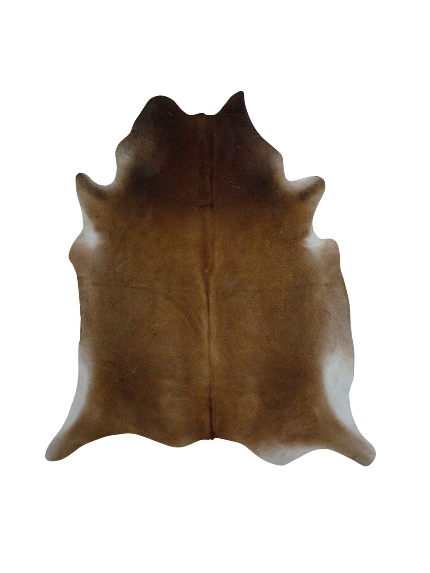 Artisan Claire  Espresso Ivory Hair on Hide Cowhide Shape Rug