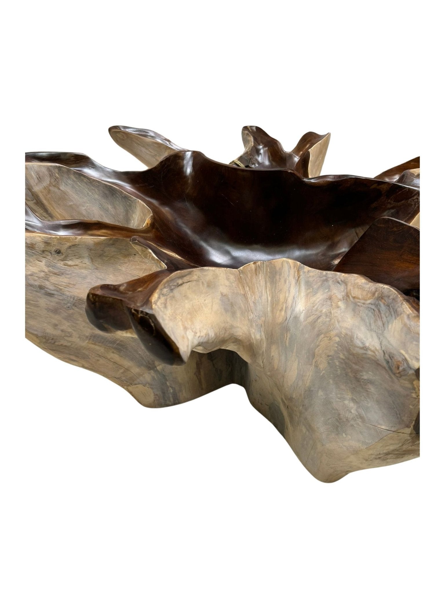 Eclectic Home Coffee Table Teak Root Coffee Table Matte Brown Table Furniture Furniture - Furniture - Eclectic Home - Atlanta Designer Rugs