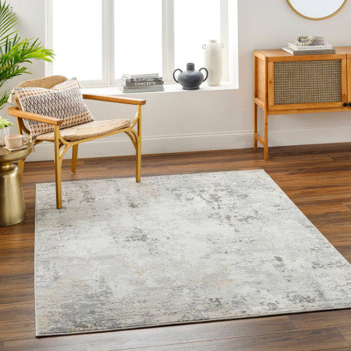 Surya Alamo ALO-2304 Gray Modern Machinemade Rug