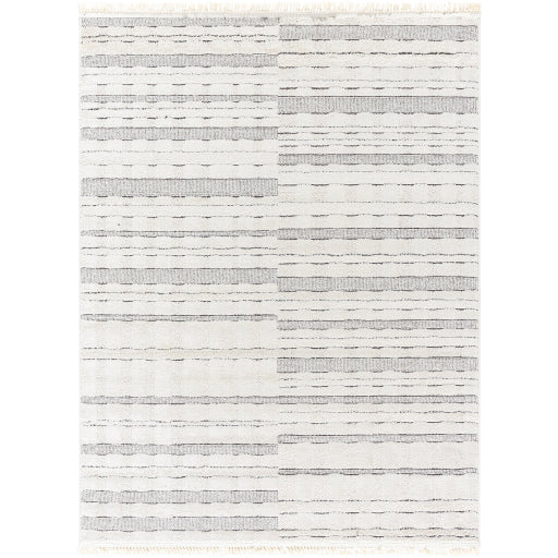 Surya Berlin BLR-2314 Ivory Modern Machinemade Rug