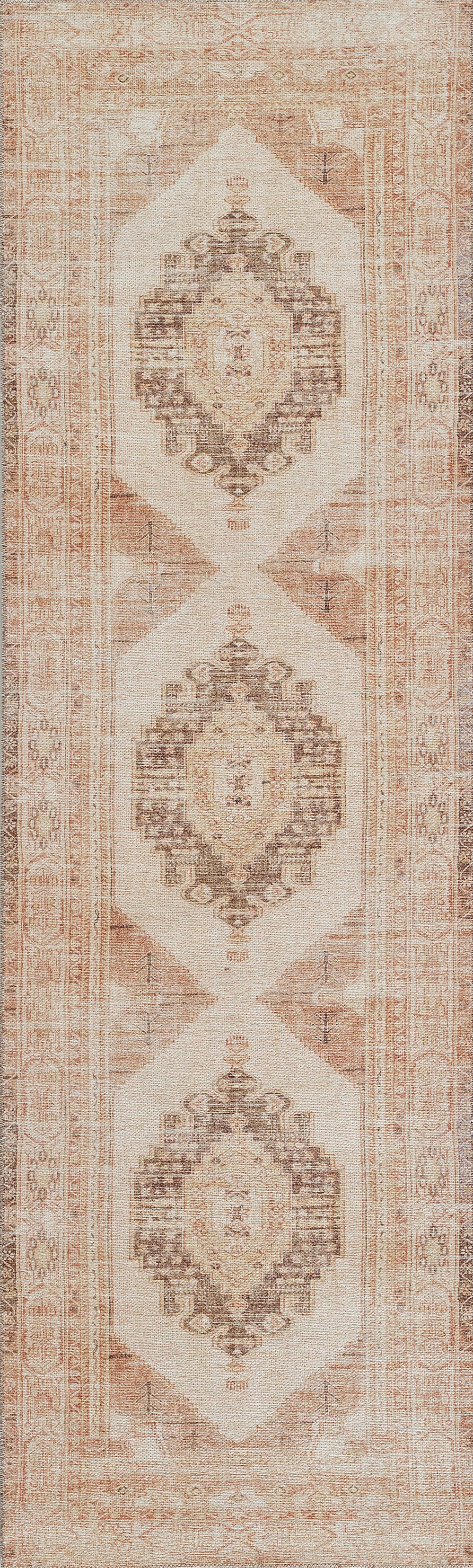 Momeni Chandler  Beige  Traditional