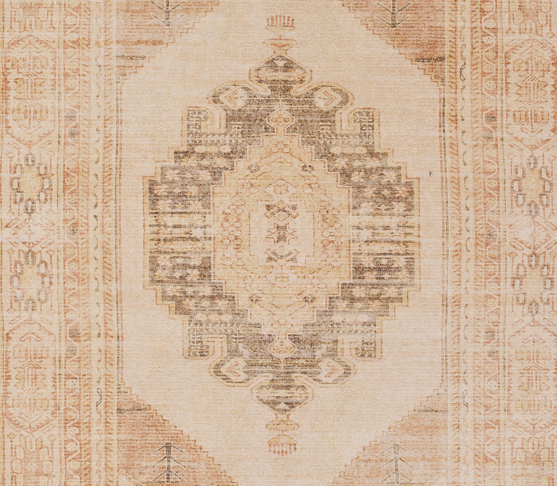 Momeni Chandler  Beige  Traditional