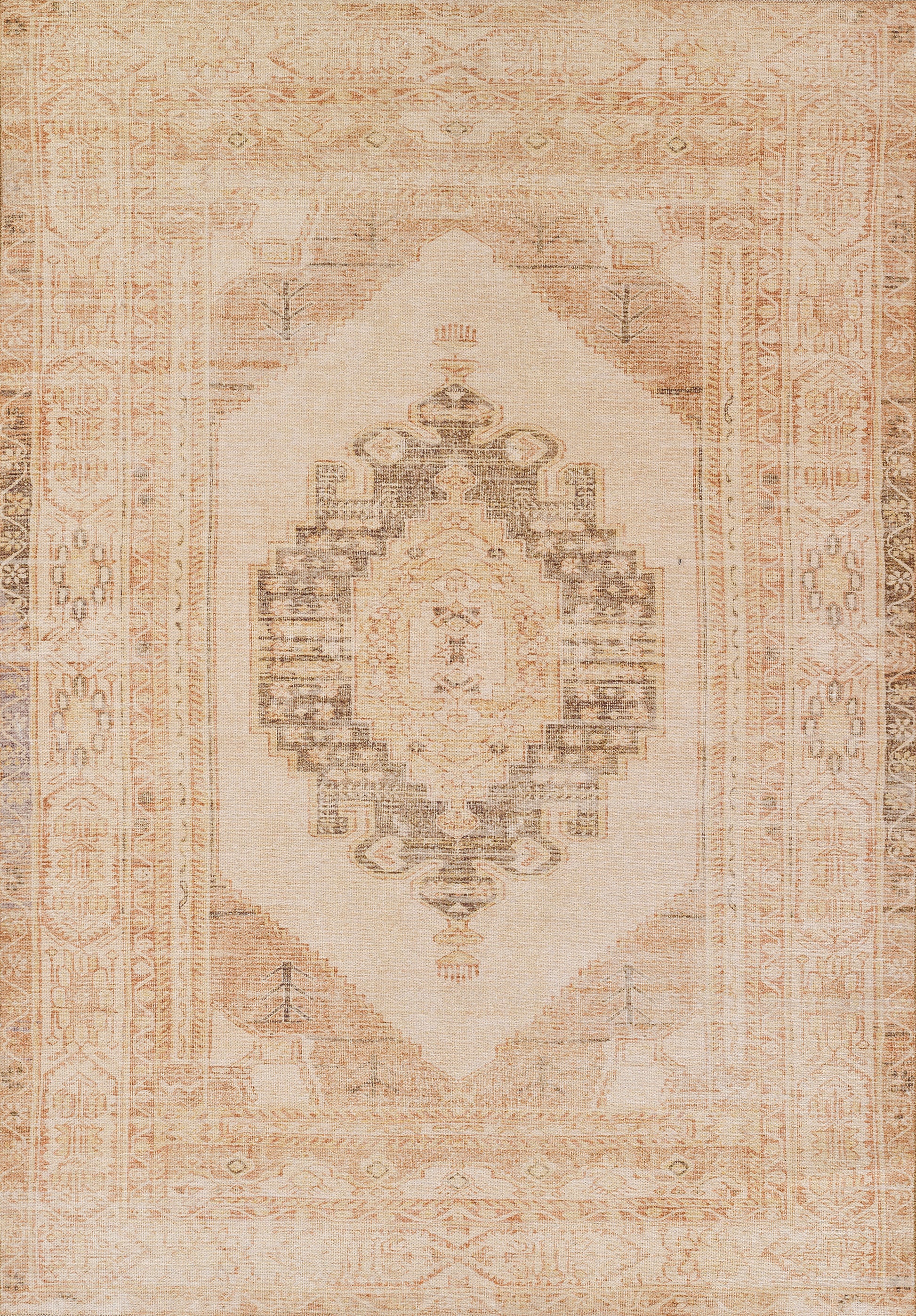 Momeni Chandler  Beige  Traditional