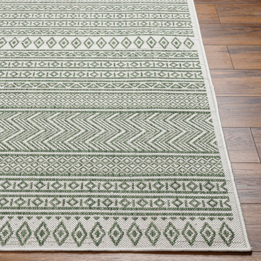 Surya Eagean EAG-2425 Grass Green Global Machinemade Rug