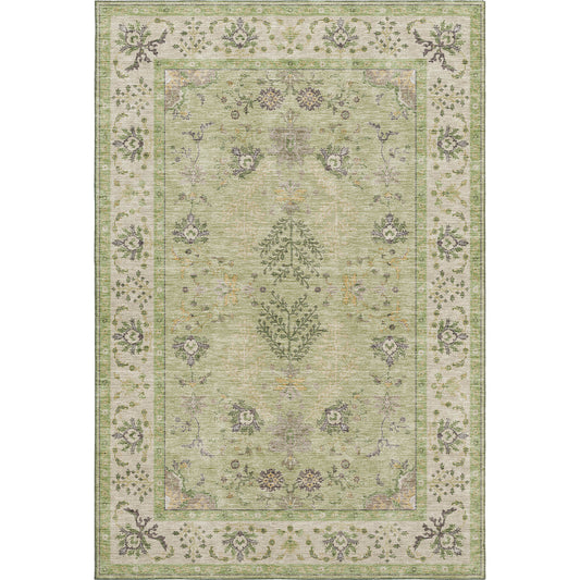 Dalyn Rugs Hatay HY9 Aloe  Traditional  Rug