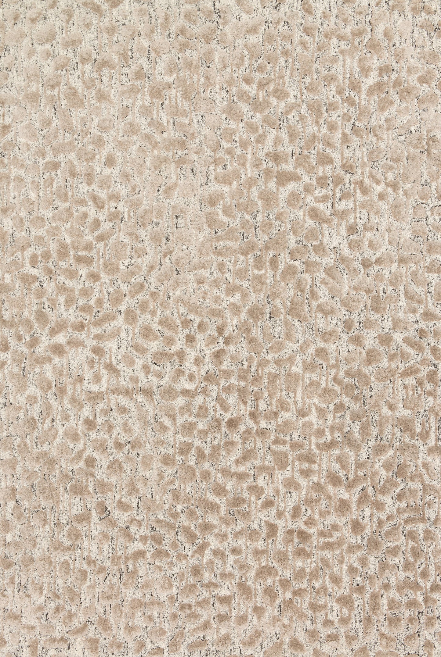 Loloi JUNEAU JY-02 Ash Taupe Contemporary Hand Tufted Rug