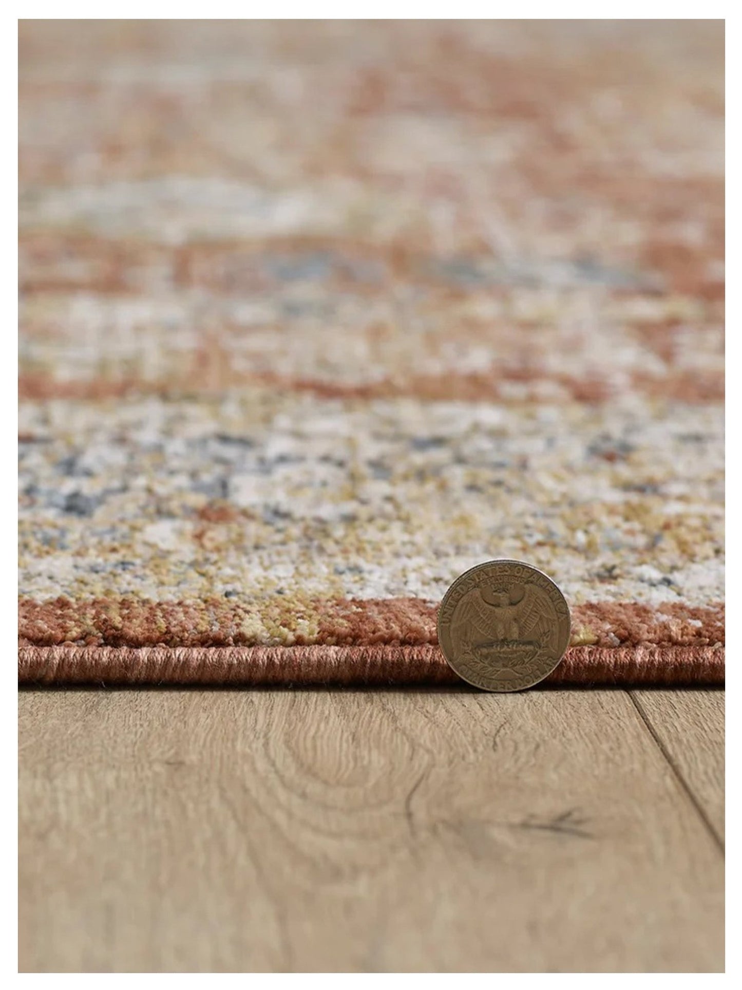 KAS Avani 8405 Spice Transitional Machinemade Rug - Rugs - KAS - Atlanta Designer Rugs