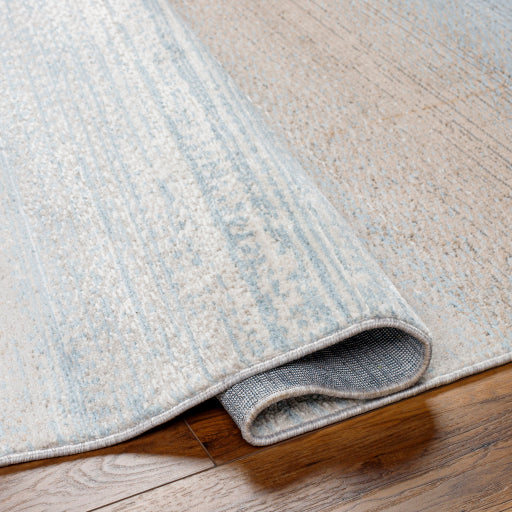 Surya Masha MHA-2308 Denim Modern  Rug