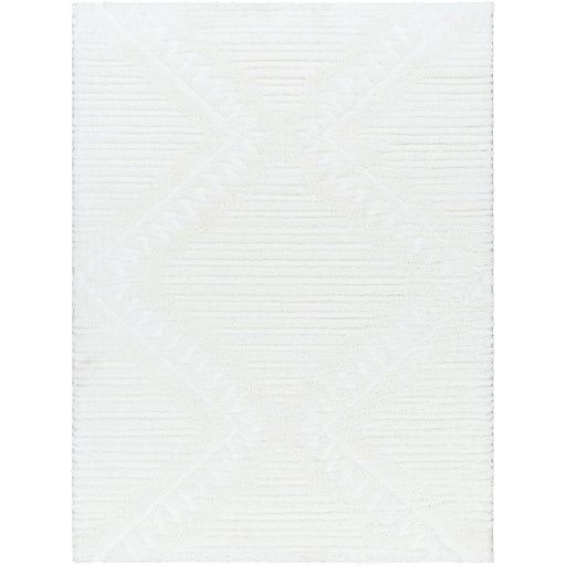 Surya Nomadic NMC-2304 Ivory Global  Rug