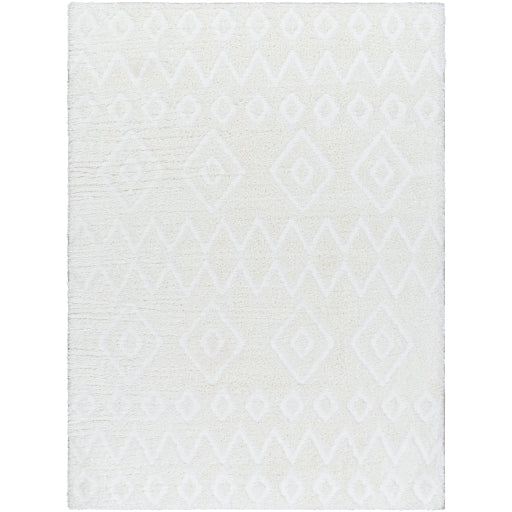 Surya Nomadic NMC-2306 Ivory Modern  Rug