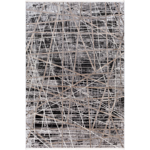 Surya Obsession OBN-2300 Charcoal Modern  Rug