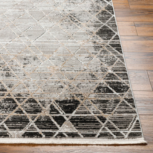 Surya Obsession OBN-2301 Charcoal Modern  Rug