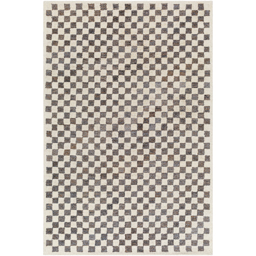 Surya Ottawa OTW-2301 Beige Modern  Rug