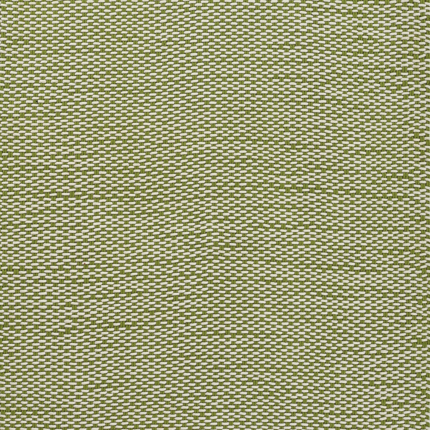 Momeni Paracord  Green  Contemporary