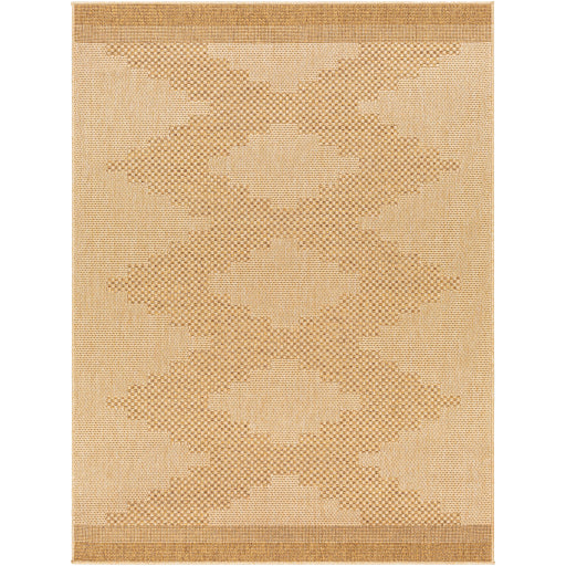 Surya Pismo Beach PMB-2301 Tan Modern  Rug