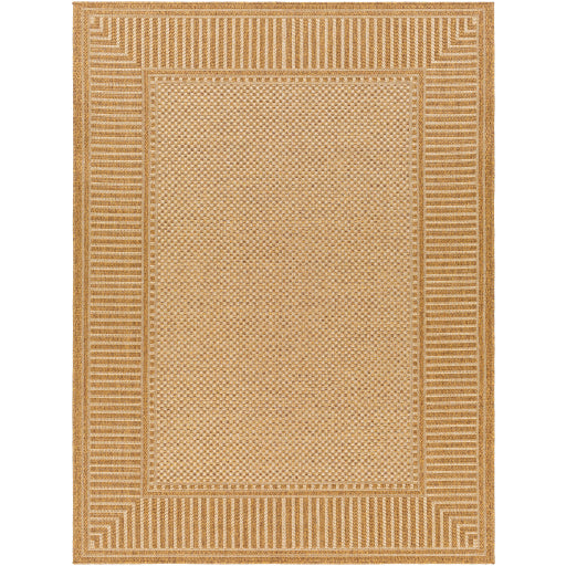 Surya Pismo Beach PMB-2303 Tan Modern  Rug