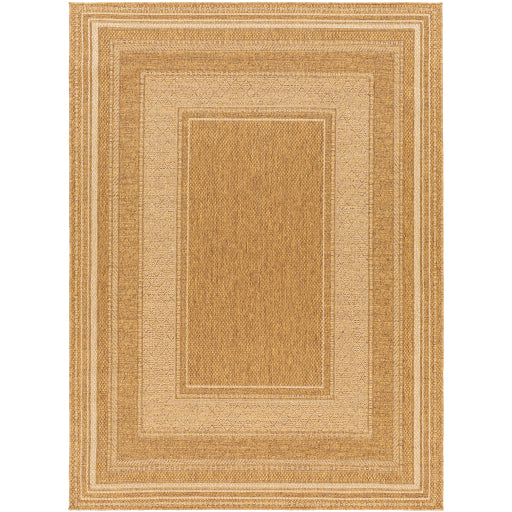 Surya Pismo Beach PMB-2307 Tan Modern  Rug