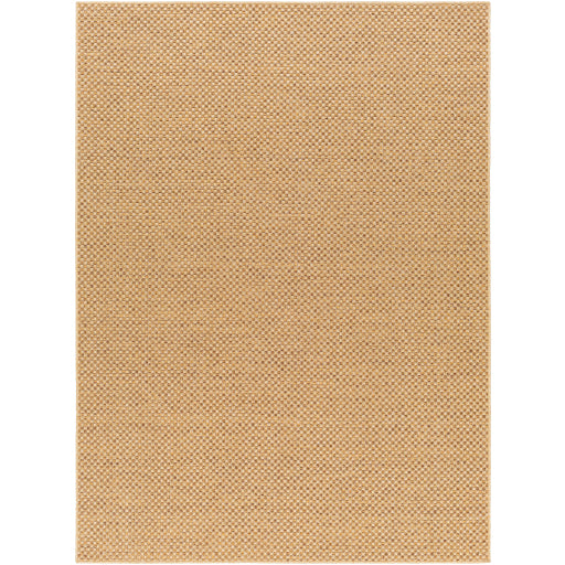 Surya Pismo Beach PMB-2308 Amber Modern  Rug