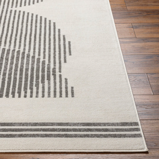 Surya Pisa PSS-2363 Light Gray Modern  Rug