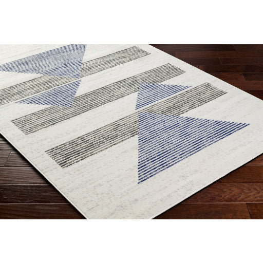 Surya Pisa PSS-2378 Light Gray Modern  Rug