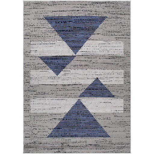 Surya Pisa PSS-2379 Charcoal Modern  Rug