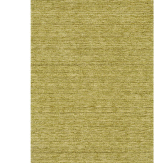 Dalyn Rugs Rafia  Kiwi  Transitional