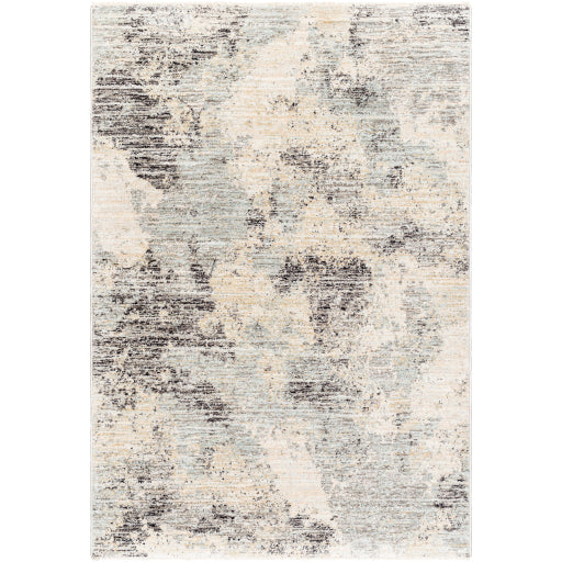 Surya Rojin ROJ-2302 Gray Modern  Rug