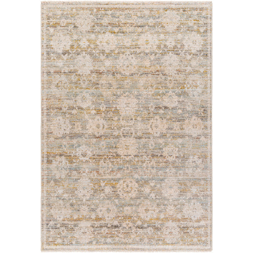 Surya Rojin ROJ-2304 Taupe Traditional  Rug