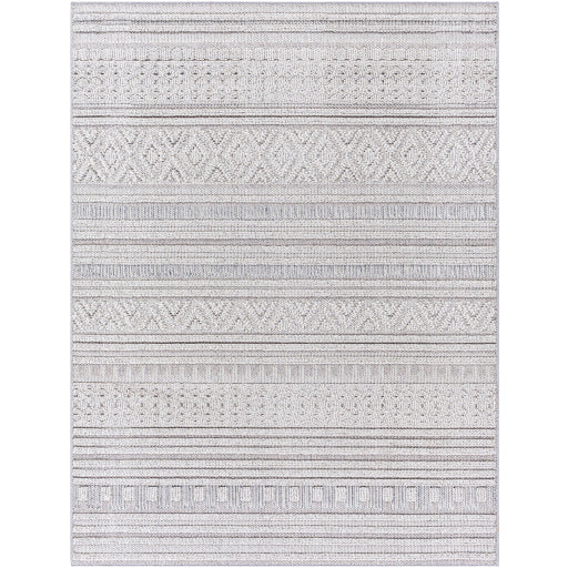 Surya Rockport RPT-2320 Tan Modern  Rug