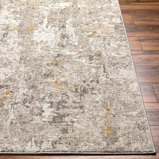 Surya Roswell RSW-2301 Gray Traditional  Rug