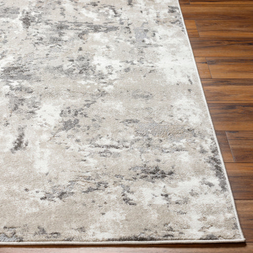 Surya Soldado SOD-2301 Medium Gray Modern  Rug