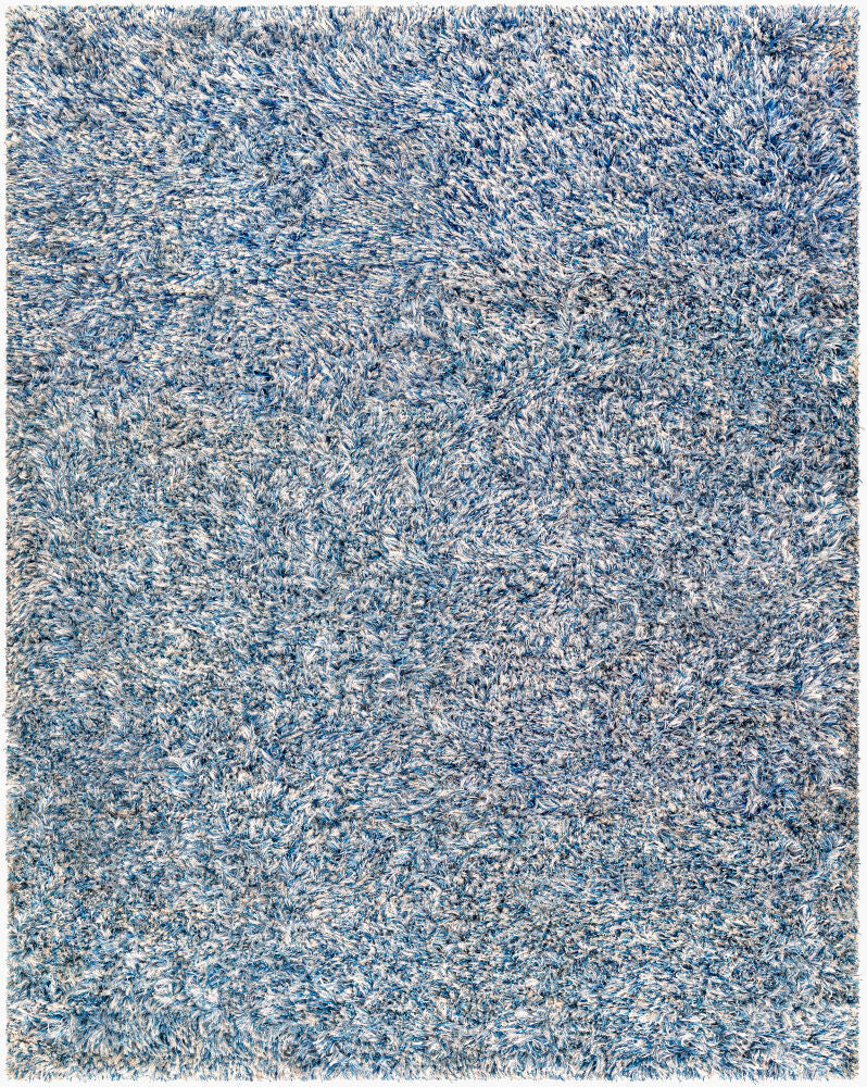 Surya Anaheim AHM-2301 Denim  Modern Woven Rug