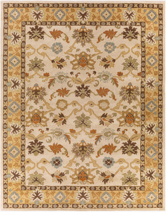 Surya Caesar CAE-1010 Light Beige  Traditional Tufted Rug