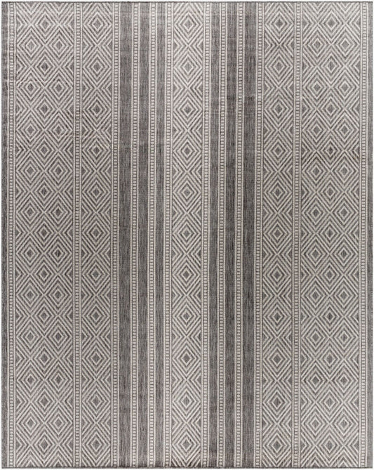 Surya Long Beach LBH-2302 Charcoal  Global  Rug