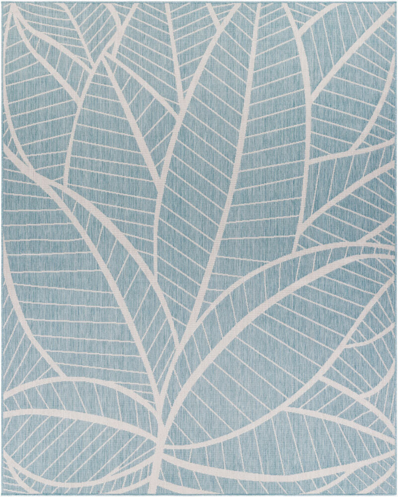 Surya Long Beach LBH-2303 Aqua  Coastal  Rug