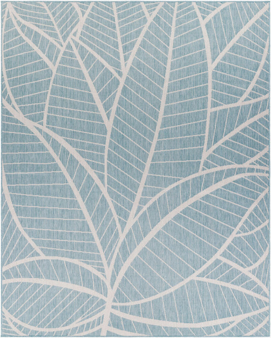 Surya Long Beach LBH-2303 Aqua  Coastal  Rug