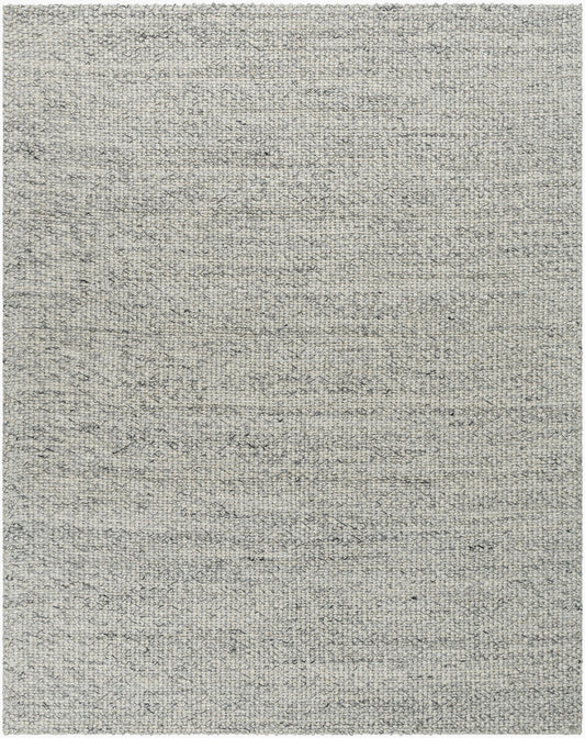 Surya Lucerne LNE-1001 Charcoal  Modern  Rug