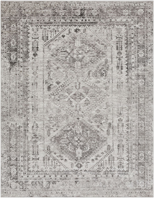 Surya Monte Carlo MNC-2314 Light Gray  Traditional  Rug