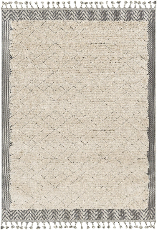 Surya Sousse SUS-2305 Light Beige  Global  Rug