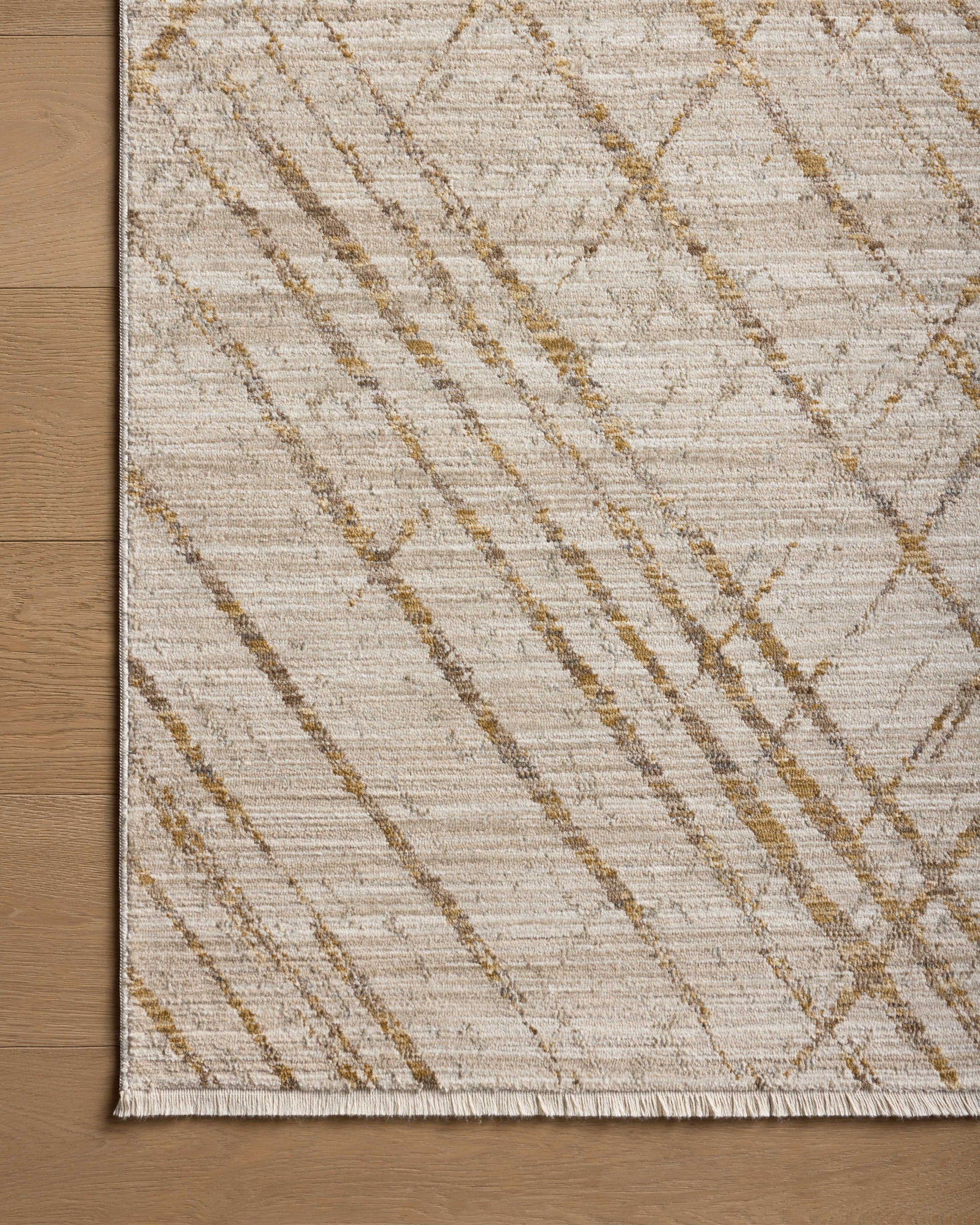 Loloi II Wade WAE-04 Beige Gold Contemporary Power Loomed Rug