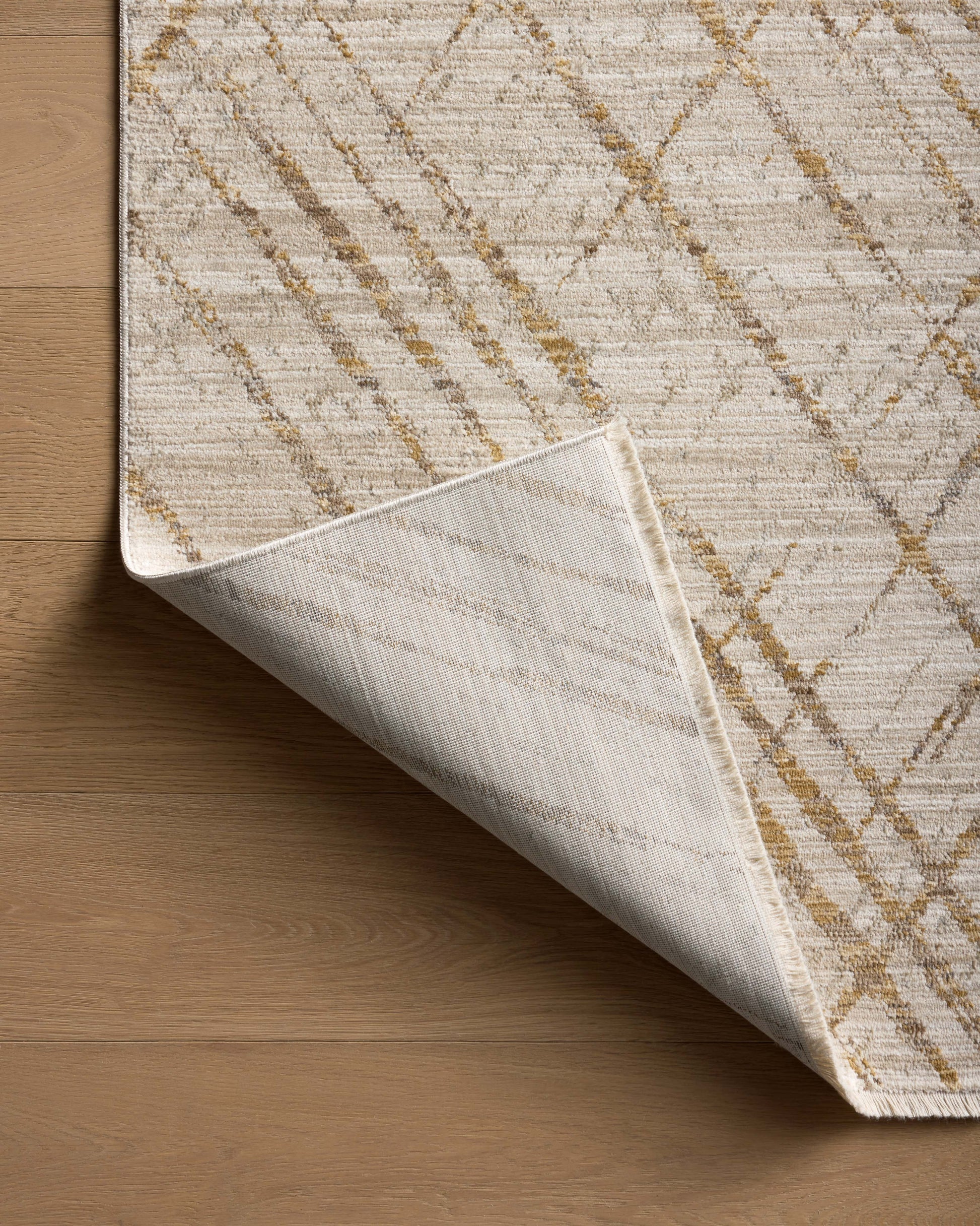 Loloi II Wade WAE-04 Beige Gold Contemporary Power Loomed Rug