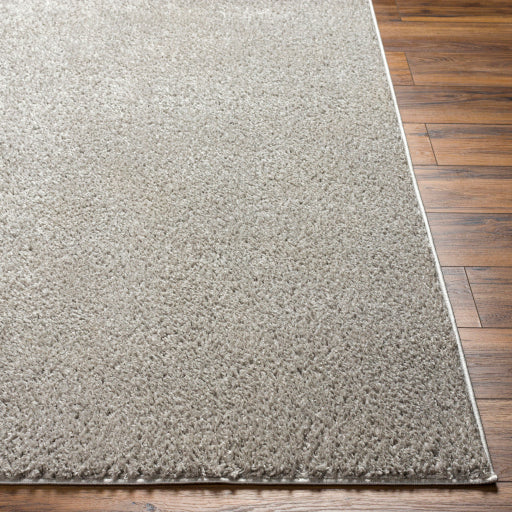 Surya Alfombra AFB-2303 Gray Cottage Machinemade Rug