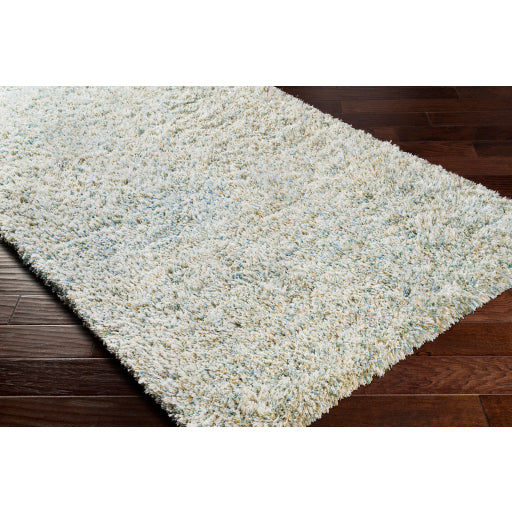 Surya Anaheim AHM-2300 Sky Blue Modern Woven Rug