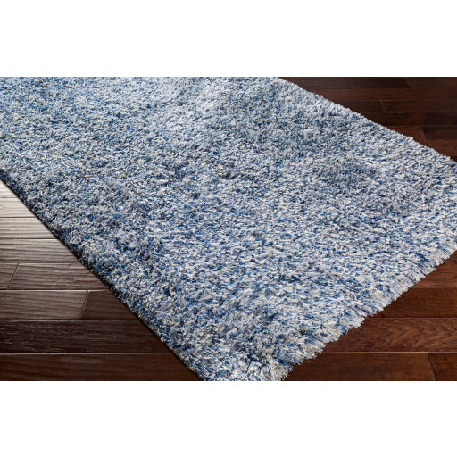 Surya Anaheim AHM-2301 Denim Modern Woven Rug