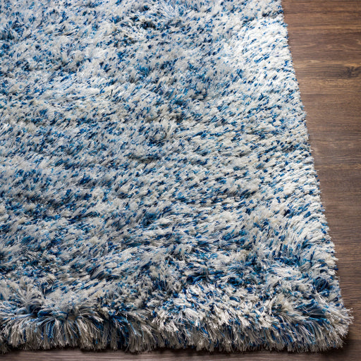 Surya Anaheim AHM-2301 Denim Modern Woven Rug