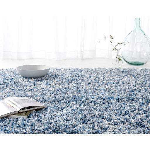 Surya Anaheim AHM-2301 Denim Modern Woven Rug