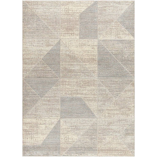 Surya Alder ALD-2310 Taupe Modern Machinemade Rug