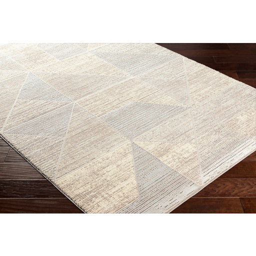 Surya Alder ALD-2310 Taupe Modern Machinemade Rug