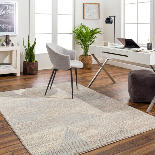 Surya Alder ALD-2310 Taupe Modern Machinemade Rug